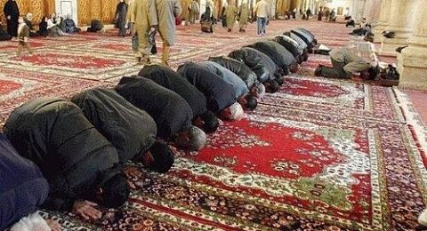 النهي عن ارتفاع الأصوات والخصومة في المسجد