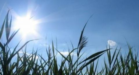 أجواء صافية والحرارة حول معدلها السنوي العام