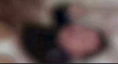 توثيق فيديو صادم: اتهام سيدة من شرقي القدس بالاعتداء على أطفالها