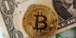 من الغد.. المستثمرون يتابعون "البيتكوين" عبر مؤشر بورصة موسكو الجديد