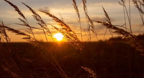 حالة الطقس: يكون الجو حاراً إلى شديد الحرارة