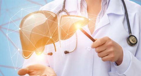 توت وكركم وليمون.. 8 أطعمة تحمي الكبد وتقيه من الأمراض