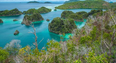 5 وجهات سياحية طبيعية مفضلة من عشاق المغامرات في آسيا