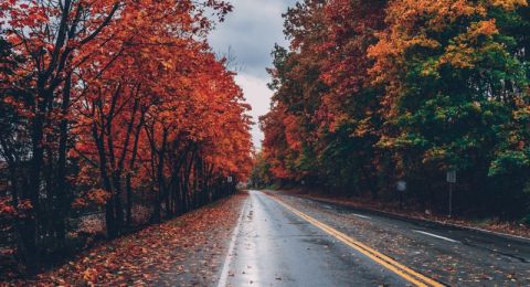 حالة الطقس: أجواء خريفية