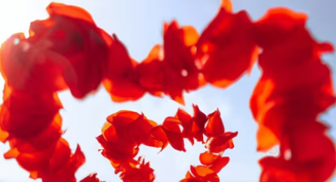 3 أبراج محظوظة في أسبوع عيد الحب 2025