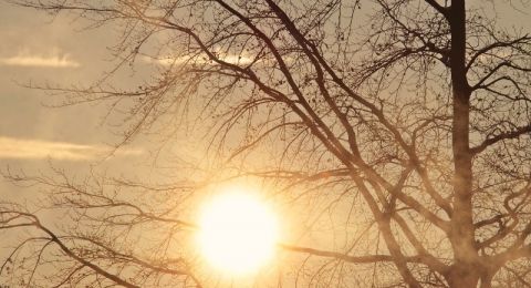 حالة الطقس: ارتفاع الحرارة وأجواء مشمسة لطيفة