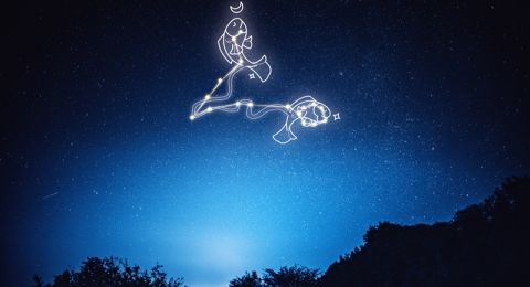 توافق برج الحوت المائي مع الأبراج الترابية