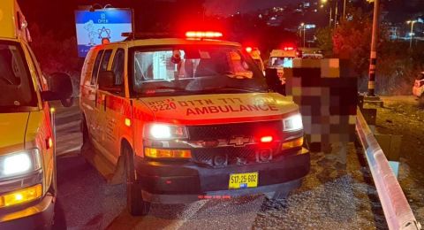 إصابة خطيرة لسائق دراجة رباعية بعد اصطدامه بخنزير قرب عرعرة