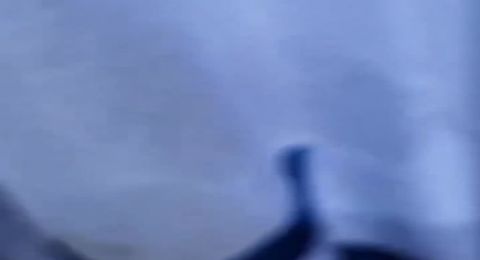 إسباني يرفع علم فلسطين بدلًا من علم اسرائيل خلال كأس العالم للمبارزة