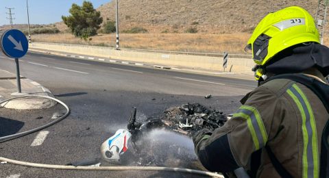 السيطرة على حرائق نهلال ومجد الكروم
