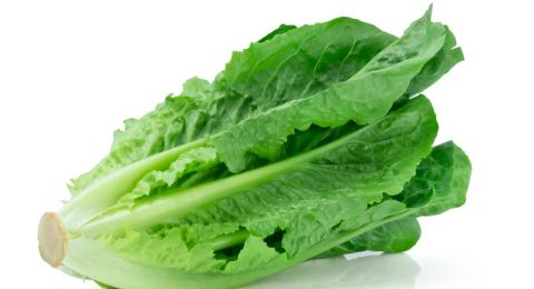 فوائد الخس.. من تعزيز المناعة إلى تحسين الهضم