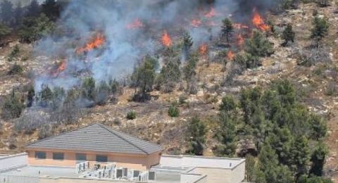 إصابة شخصين جراء حريق في منطقة مفتوحة قرب نين