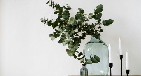 كيف تحافظين على ديكور منزلك من التلف؟ إليك التفاصيل