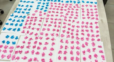 ضبط أكثر من 6,600 قرص إكستازي في عملية مداهمة بدير الأسد