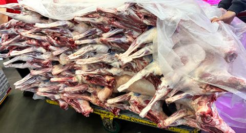 وزارة البيئة تستثمر 50 مليون شيكل لتعزيز منظومة جمع ومعالجة الفضلات العضوية في المجتمعات العربية