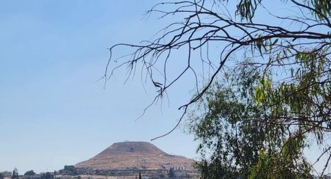 أجواء غائمة جزئيا ومعتدلة