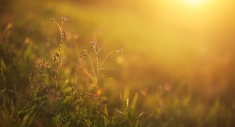 حالة الطقس: انخفاض ملموس على درجات الحرارة