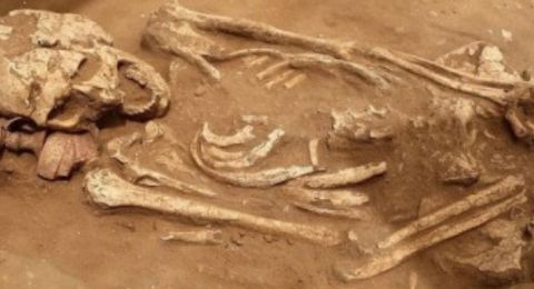 ماذا فعل أسلافنا ببعضهم؟