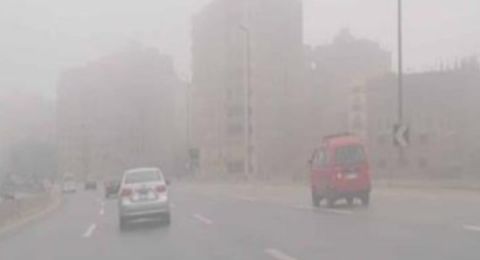 كيف تقود سيارتك بأمان؟ | اعرف الخطوات الصحيحة