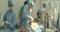نجاح عملية زراعة قلب اصطناعي لكبش في الصين نجاح عملية زراعة قلب اصطناعي لكبش في الصين