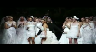 فساتين زفاف 2013 من pronovias فساتين زفاف 2013 من pronovias