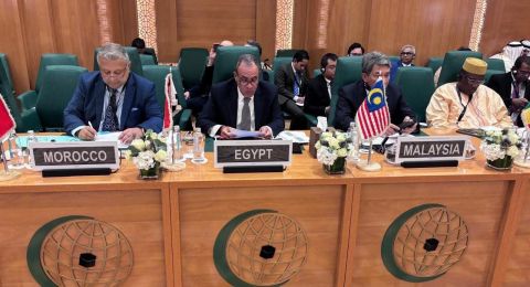 وزير الخارجية المصري: الحل النهائي بشأن مستقبل غزة سيكون بإقامة دولة فلسطينية