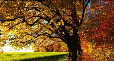 حالة الطقس: أجواء خريفية معتدلة