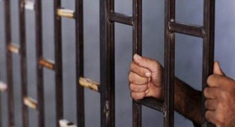 جريمة مروعة.. قضية قتل تنتهي بالسجن المؤبد في مصر