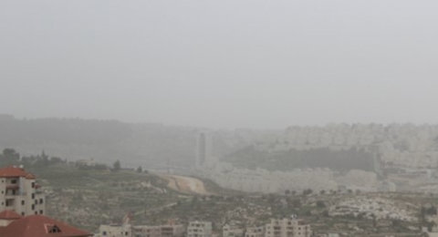 علاقة مقلقة بين تلوث الهواء وزيادة خطر السمنة والسكري