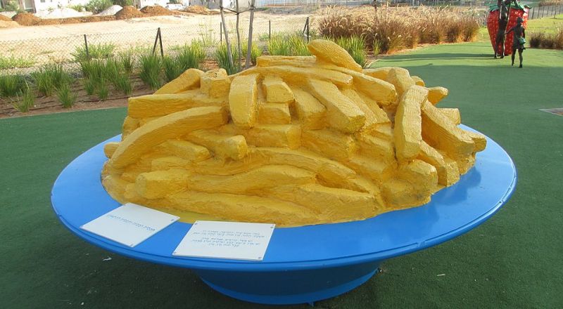 بيع شركة “تفوغن” الإسرائيلية المنتجة للبطاطا المقلية مقابل 507 ملايين شيكل