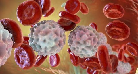 أفضل الأطعمة لمحاربة الالتهاب المزمن