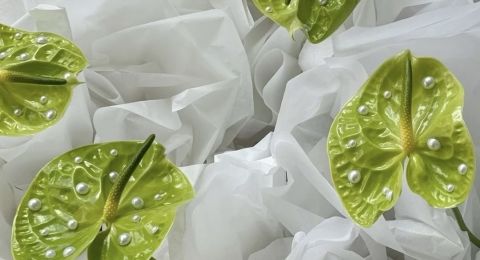 أفكار مبتكرة لديكور حفل عقد القران تعكس شخصية العروس وأنوثتها