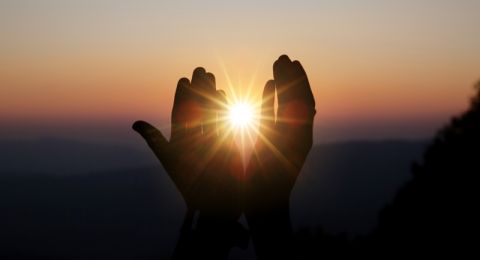 حالة الطقس: أجواء صيفية دافئة