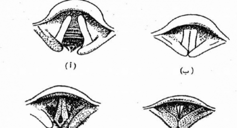 معلومات أساسية عن صوت الإنسان وتغيراته