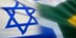 جنوب أفريقيا تسحب سفيرها في إسرائيل احتجاجا على مجزرة غزة