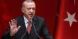 أردوغان: تركيا لن تسمح بتقسيم سوريا