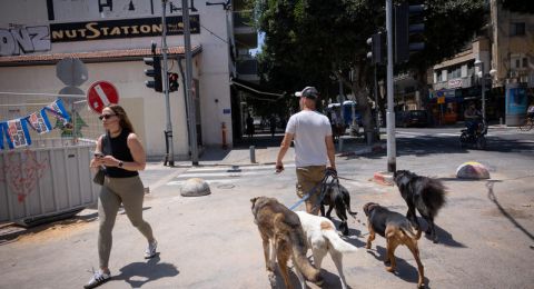 تفشٍ خطير لداء الكلب في إسرائيل: دعوات عاجلة لتطعيم الكلاب والقطط وتحذيرات صحية واسعة