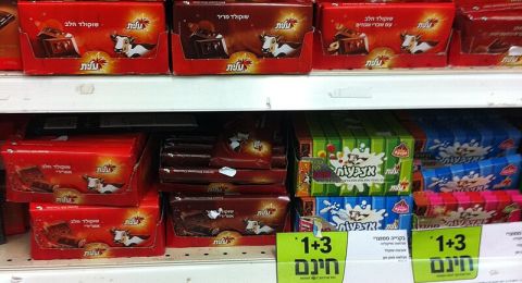 سعر شوكولاتة 