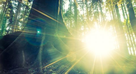 حالة الطقس: أجواء شديدة الحرارة