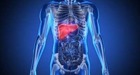 خلايا جذعية لعلاج أمراض الكبد دون جراحة