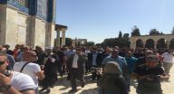 146682 حملة اعتقالات بحق المتواجدين بساحات قبة الصخرة المشرفة. 146682 حملة اعتقالات بحق المتواجدين بساحات قبة الصخرة المشرفة.