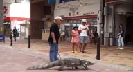 ياباني عاش مع تمساح 34 عاماً