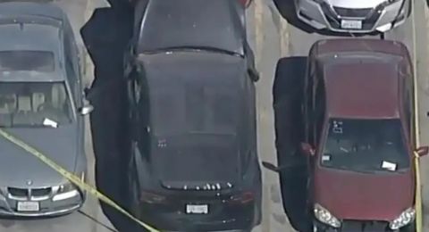 جثة متحللة في صندوق سيارة فنان شاب