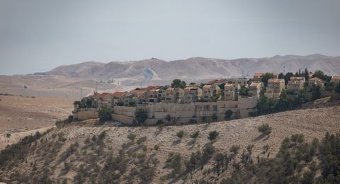 80 منظمة تدعو لوقف التجارة مع المستوطنات الإسرائيلية