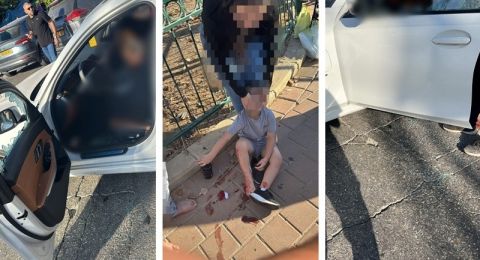 مبادرات إبراهيم: 