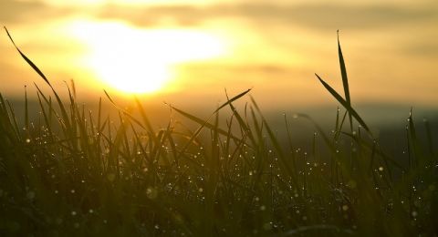 حالة الطقس: أجواء صيفية حارة