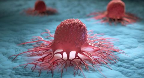 بجلسة واحدة فقط.. تمارين رياضية تكبح نمو الخلايا السرطانية