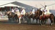 مهرجان الخيول العربية الاصيلة في المغرب مهرجان الخيول العربية الاصيلة في المغرب