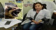 البيطرية ماريا ياسين لبُكرا: احذروا التعرض لفيروس الكلب البيطرية ماريا ياسين لبُكرا: احذروا التعرض لفيروس الكلب