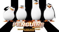 بطاريق مدغشقر - The Madagascar Penguins مدبلج